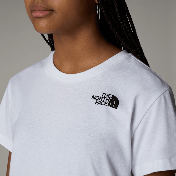 Tシャツ・カットソー THE NORTH FACE SS25 'Vertical' T-shirt (NF0A89FPT4S1 NFT4S) Men's Vertical T-Shirt | The North Face FI