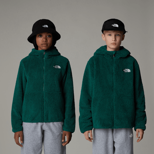 Teens' Campshire Full-Zip Hoodie | The North Face FI
