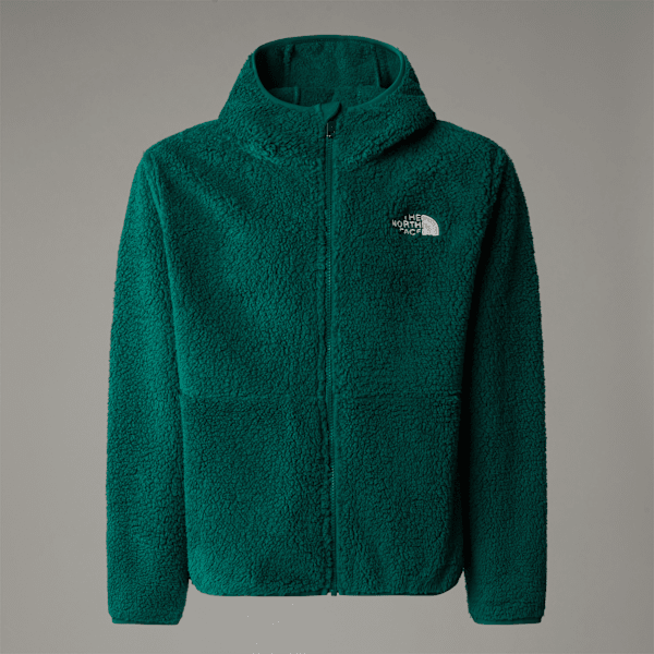 The North Face Campshire Kapuzenpulli Mit Durchgehendem Rv Für Jugendliche Evergreen Größe XS male