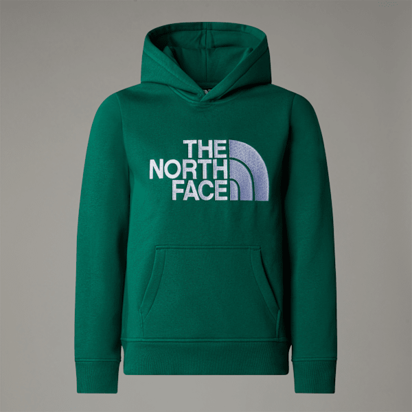 The North Face Drew Peak Hoodie Für Jungen Evergreen Größe L male