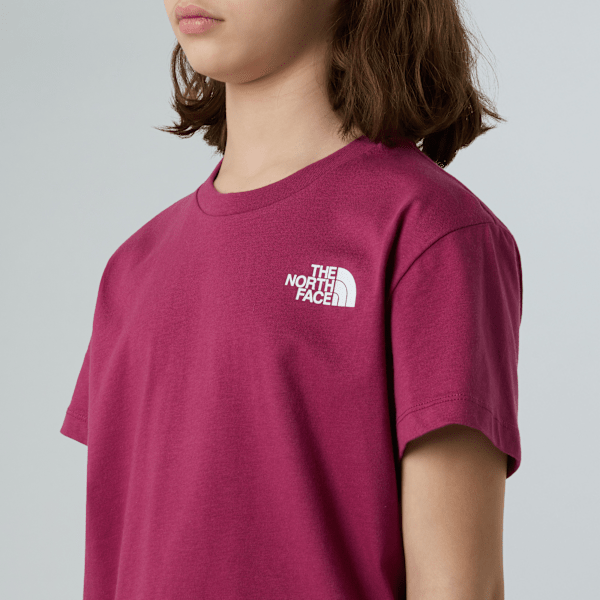 【THE NORTH FACE】RELAXED TEE FUN PACK Tシャツ The North Face RELAXED TEE FUN PACK - T-Shirt print - white