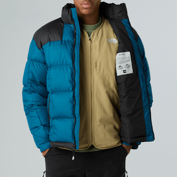 新品 US the north face LHOTSE VEST xxl Buy THE NORTH FACE Men's Apex Bionic 3 Windproof Vest