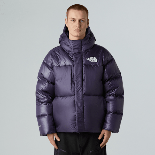 THE NORTH FACE PERTEX ダウン L Unisex Pertex Down Jacket | The North Face FI