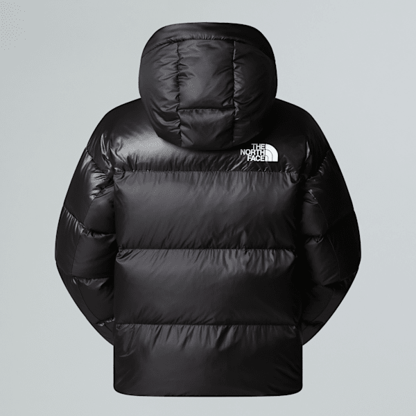 ジャケット・アウター THE NORTH FACE nupste down JACKET ai Nuptse & puffer jackets | The North Face