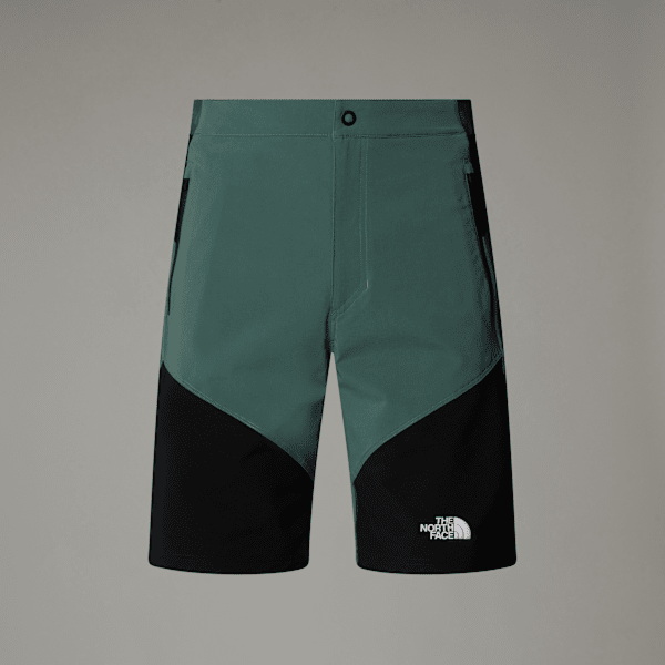 The North Face Felik Schmal Geschnittene Shorts Für Herren Duck Green-tnf Black Größe 32 male