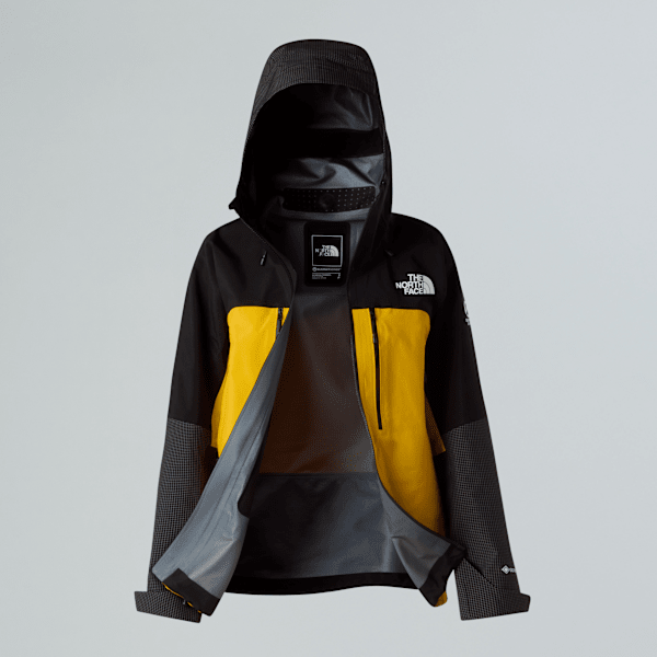 スキー THE NORTH FACE GORE-TEX pro Women's Summit Mountain GORE-TEX® Pro Jacket | The North Face FI