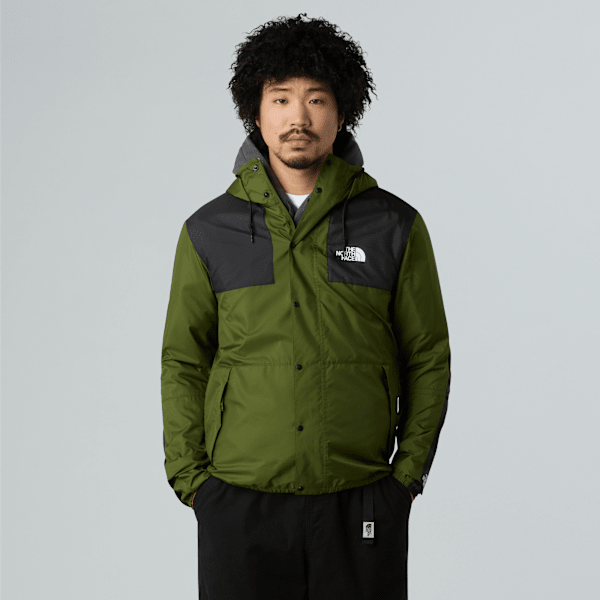 Veste Mountain Seasonal pour homme | The North Face FR