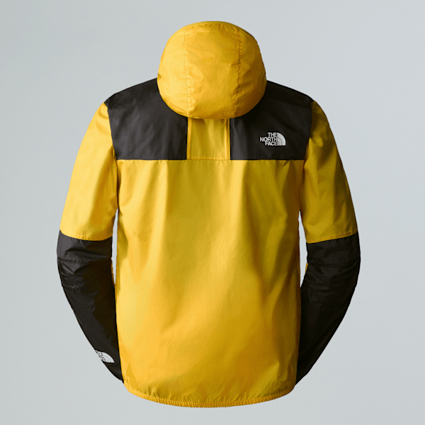Men's Seasonal Mountain Jacket | The North Face FI