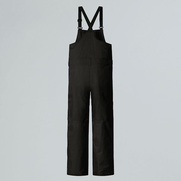 【美品】THE NORTH FACE BRIGANDINE BIB sizeXS The North Face Brigandine FUTURELIGHT Bib Pant - Men's