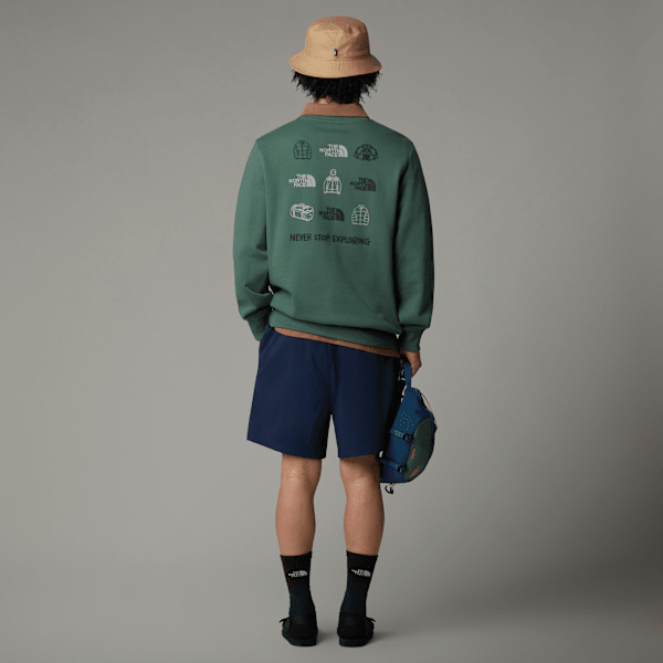 Men's Outdoor Graphic Sweatshirt | The North Face FI