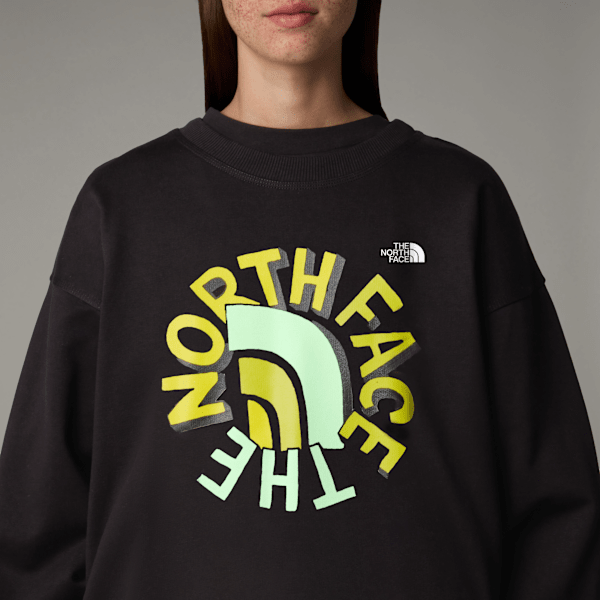 【THE NOTRH FACE】BIG LOGO EX SWEATSHIRTS☆関税、送料込☆ Logo Sweatshirt – 35/85