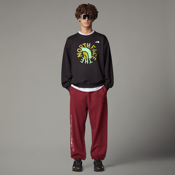 Unisex NSE Oversized Sweatshirt | The North Face IE
