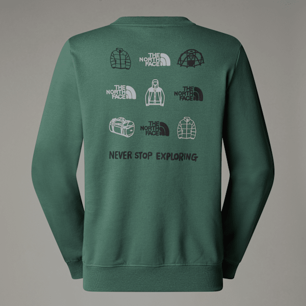 Men's Outdoor Graphic Sweatshirt | The North Face FI