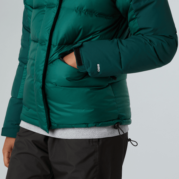 Women's Himalayan Down Parka The North Face IE