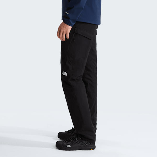 Pantalon cargo standard fuselé Winter Exploration pour homme TNF Black