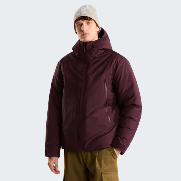 Veste à capuche en duvet Mountain Range pour homme