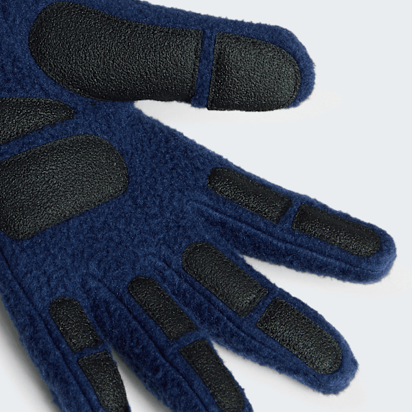 TNF X Aimé Leon Dore Fleece Gloves | The North Face DK