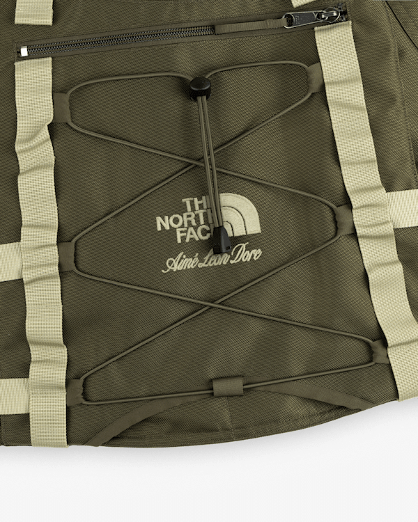 TNF X Aimé Leon Dore Tech Gilet | The North Face SE