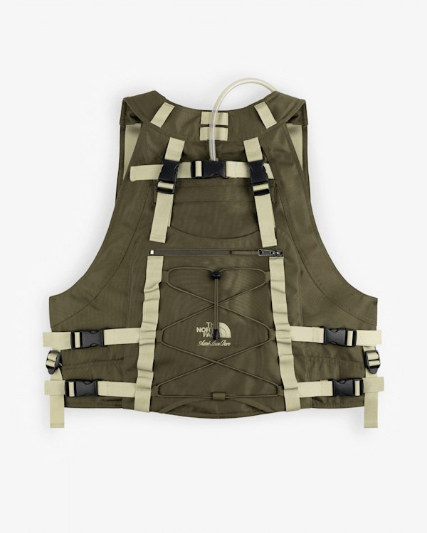 TNF X Aimé Leon Dore Tech Gilet | The North Face DK