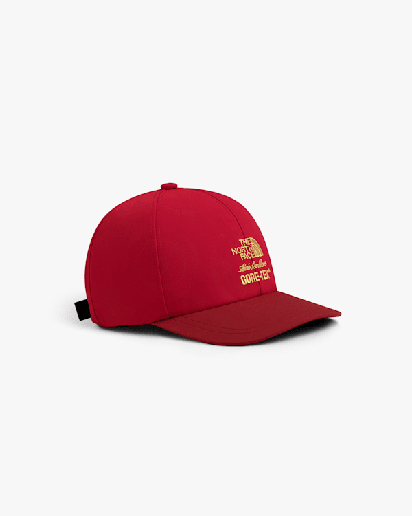 TNF X Aimé Leon Dore GORE-TEX® Hat | The North Face DK