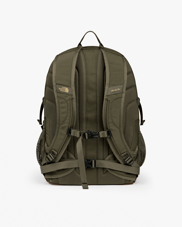 TNF X Aimé Leon Dore Borealis Classic Backpack | The North Face DK