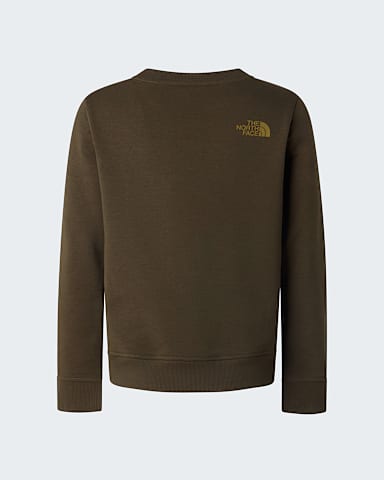 Teens Drew Peak Crew Neck Sweatshirt TNF New Taupe Green alt1
