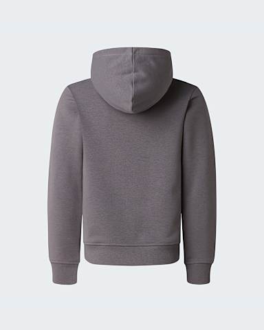 Boys Liquid Logo Regular Hoodie TNF Smoked Pearl alt1