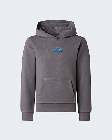 Boys Liquid Logo Regular Hoodie TNF Smoked Pearl hero