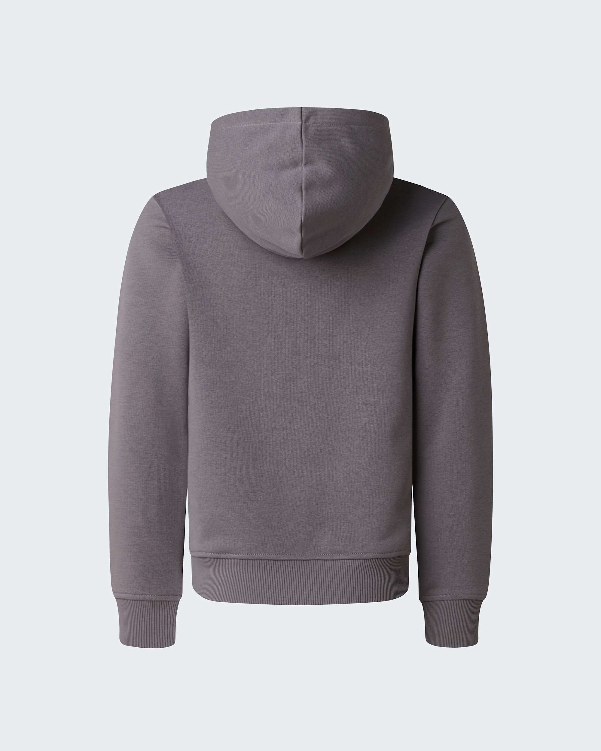 Boys Liquid Logo Regular Hoodie TNF alt1