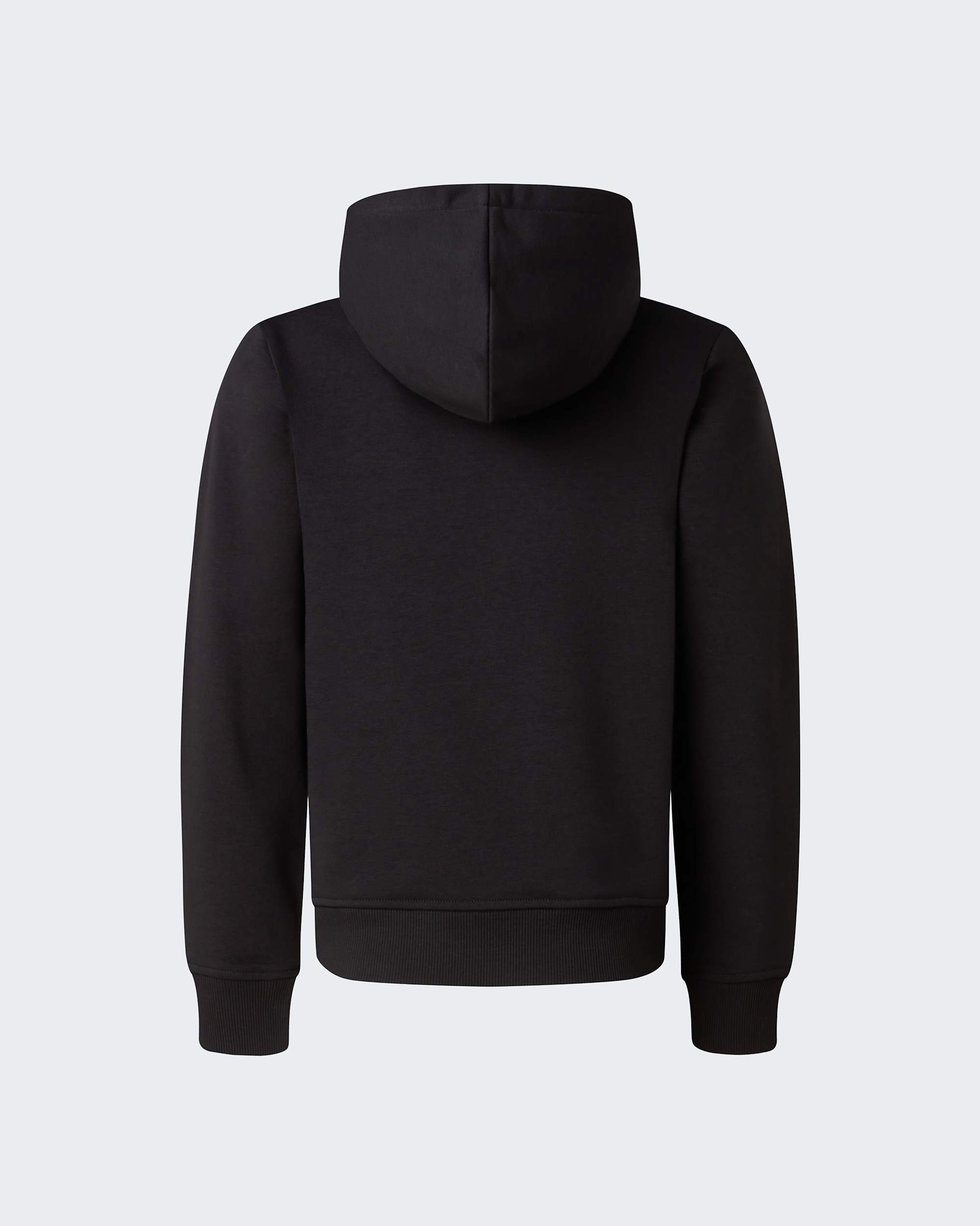 Mikina s kapuc Liquid Logo Regular pro kluky TNF alt1