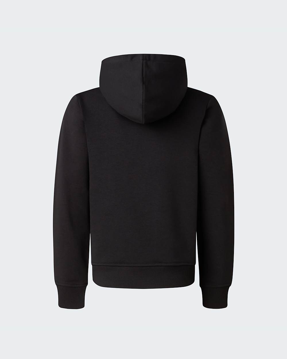 Mikina s kapuc Liquid Logo Regular pro kluky TNF alt1
