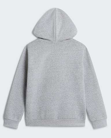 Sweat capuche Evolution Simple Dome pour enfant TNF TNF Pale Grey Heather ALT1