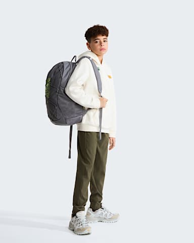 Sweat capuche standard Graphic Outdoor pour garon TNF White Dune ALT2