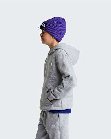 Teens Evolution Simple Dome Pullover Hoodie TNF TNF Pale Grey Heather ALT2