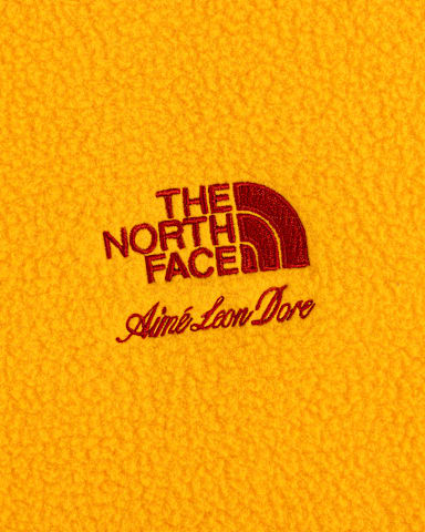 Polo polar TNF X Aim Leon Dore TNF Summit Gold alt2