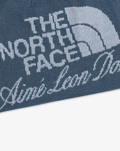 akardowa czapka beanie TNF X Aim Leon Dore TNF Granite Grey alt1