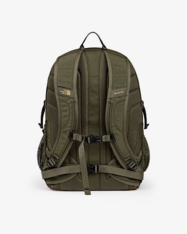 TNF X Aim Leon Dore Borealis Classic Backpack TNF New Taupe Green alt1