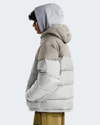 Frost Falljas met capuchon voor heren TNF Stone SlabCumulus Cloud alt2