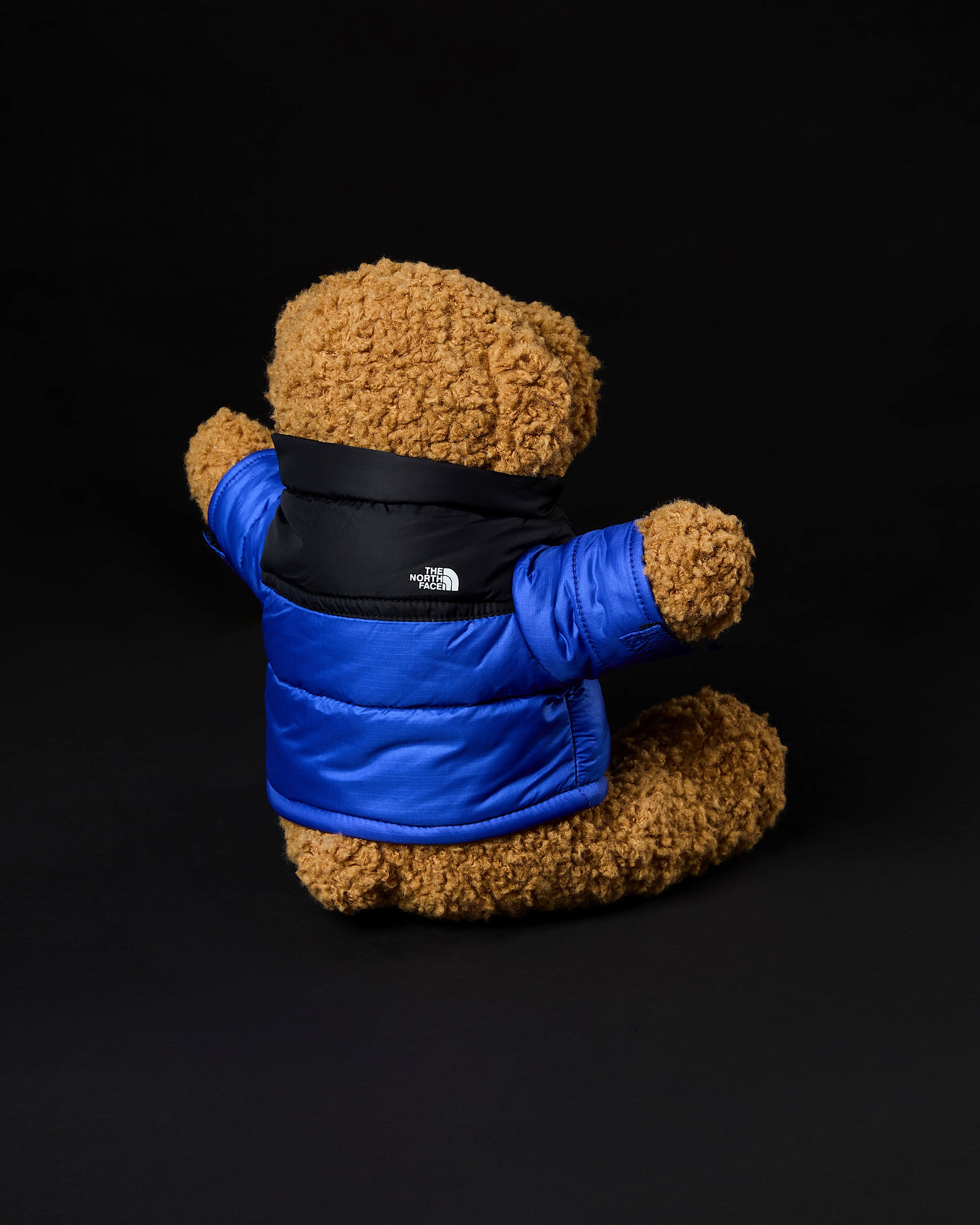 The Nuptse Bear | The North Face