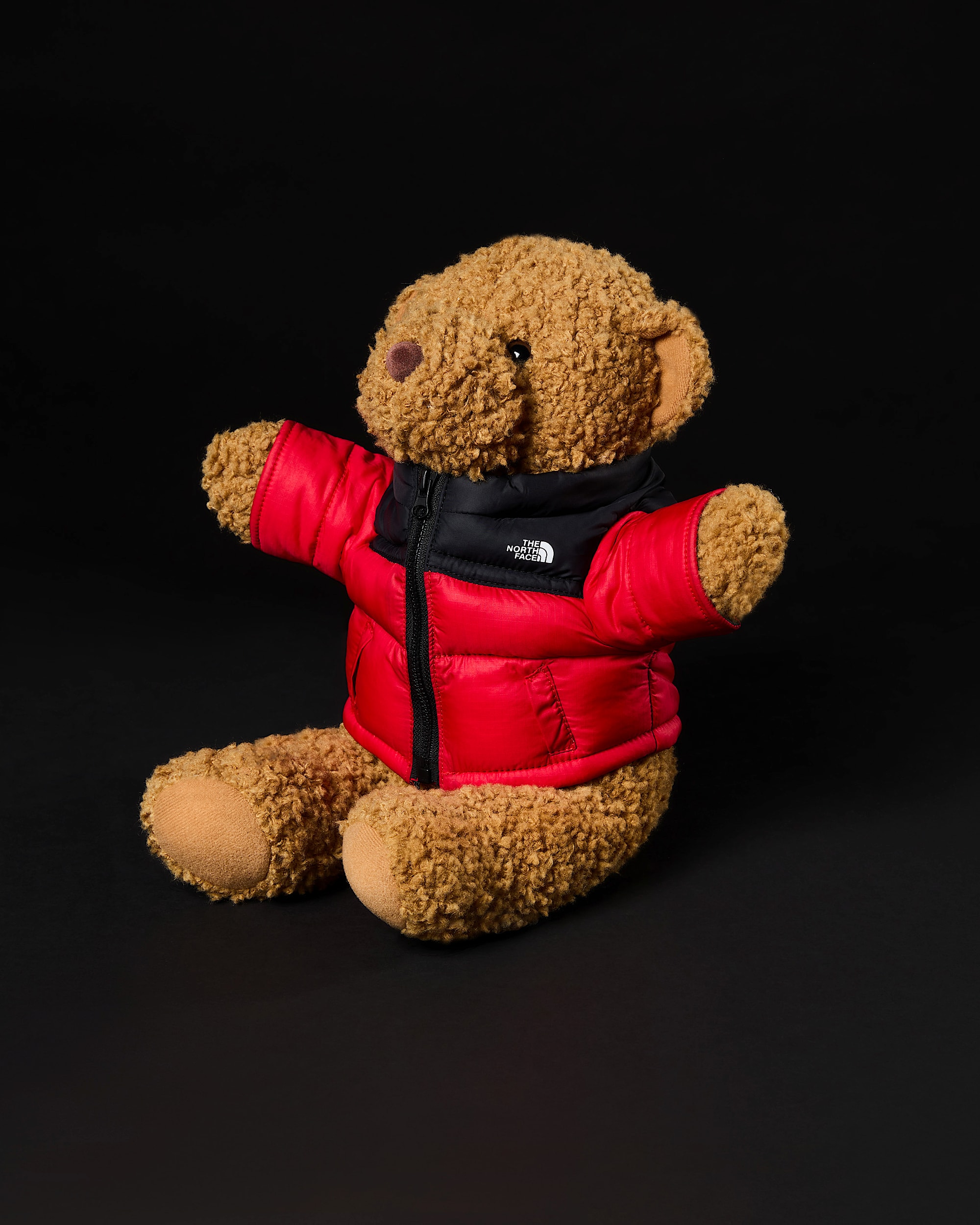 The Nuptse Bear | The North Face IE