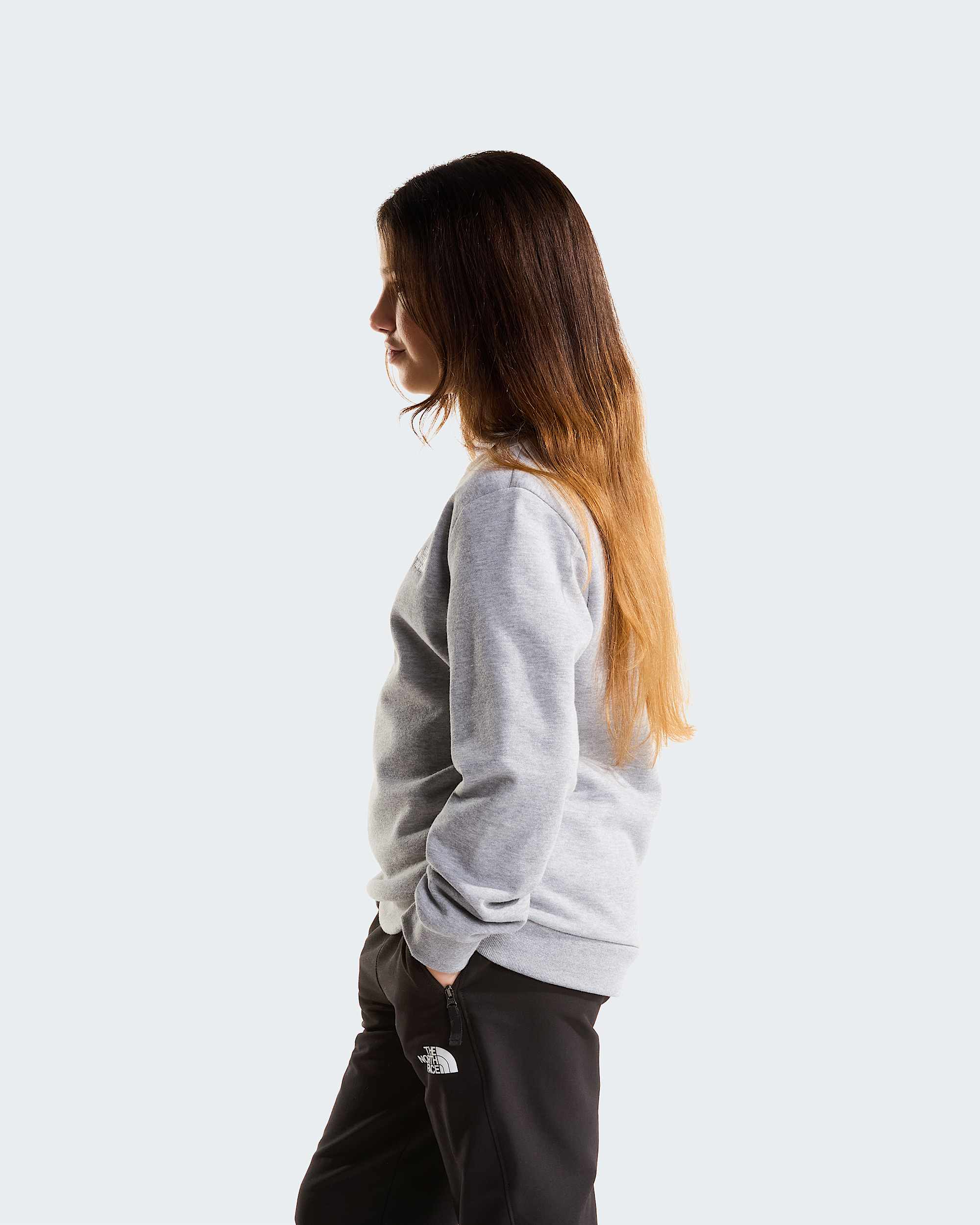 Modzieowa bluza Evolution Simple Dome TNF ALT14