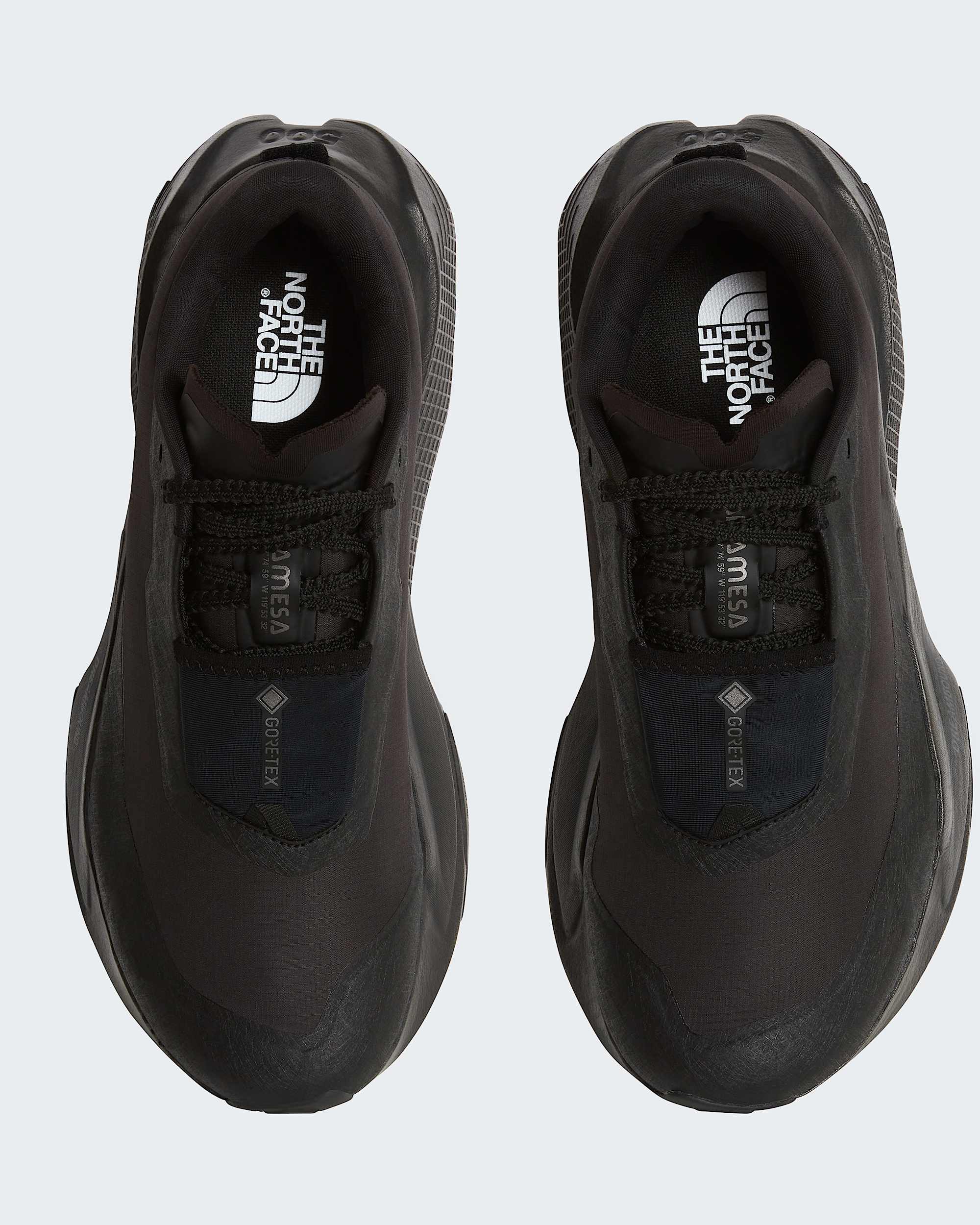 Scarpe Altamesa 500 V2 GORETEX da uomo TNF ALT1