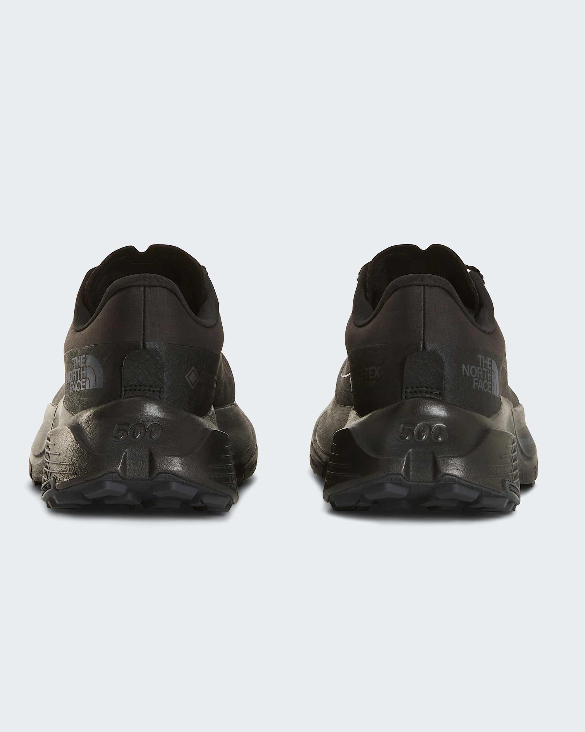 Scarpe Altamesa 500 V2 GORETEX da uomo TNF ALT6