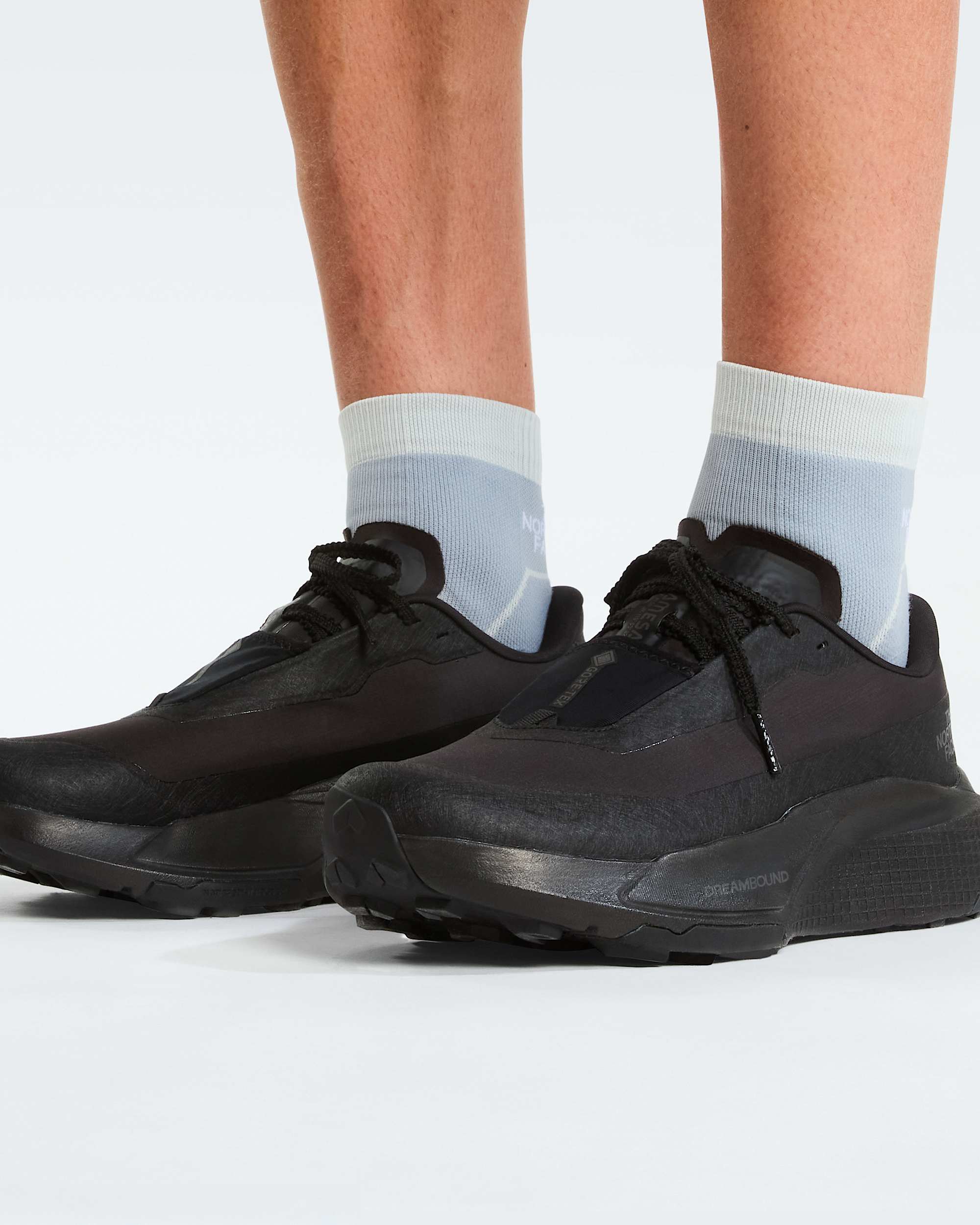 Scarpe Altamesa 500 V2 GORETEX da uomo TNF ALT2