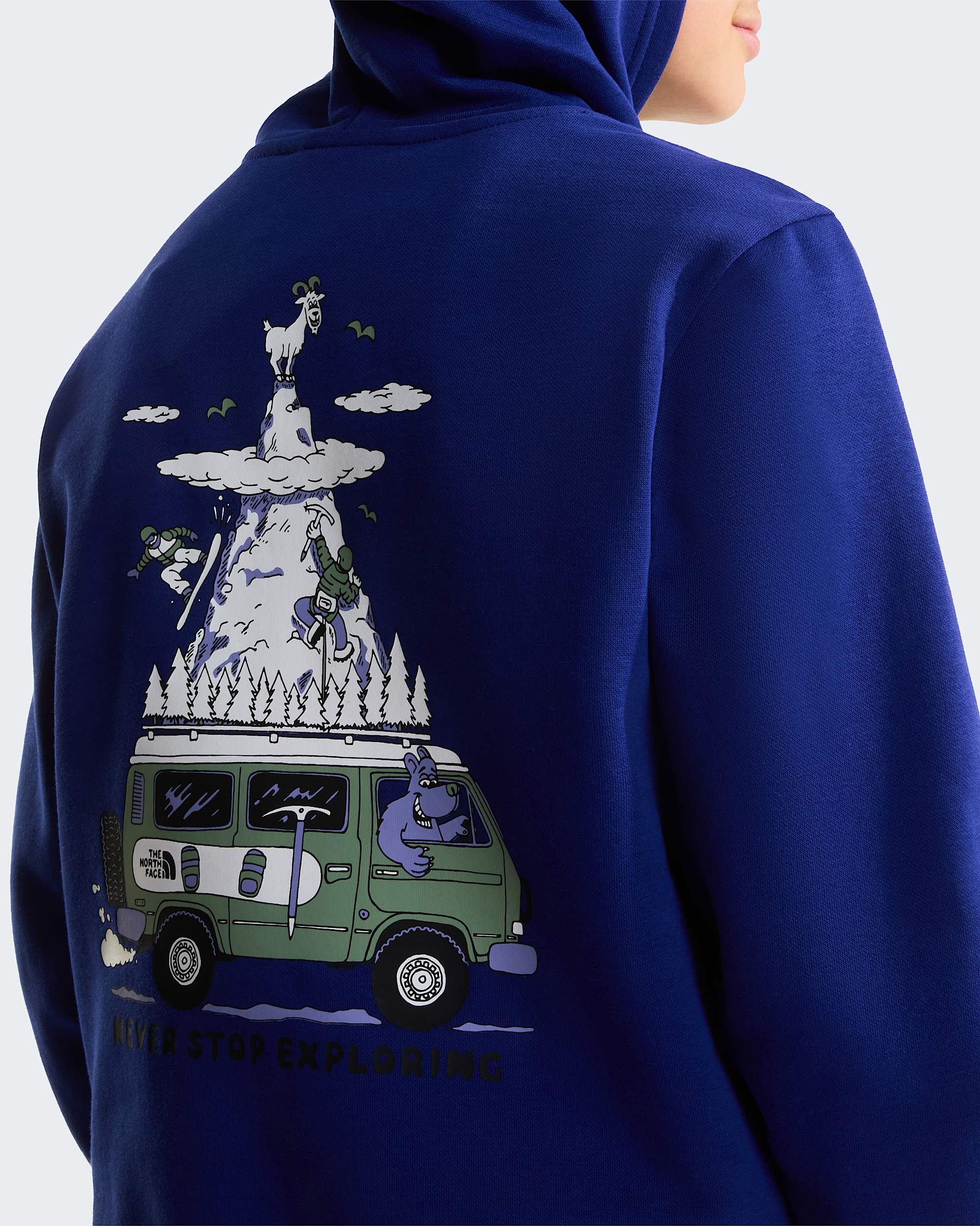 Sweat  capuche standard Graphic Outdoor pour garon TNF ALT5