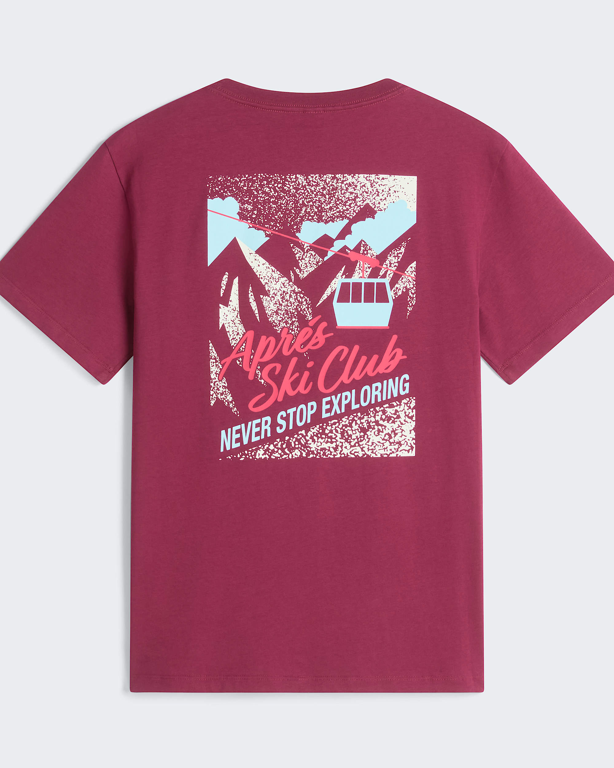 Wish For Snow Relaxed TShirt W TNF ALT31