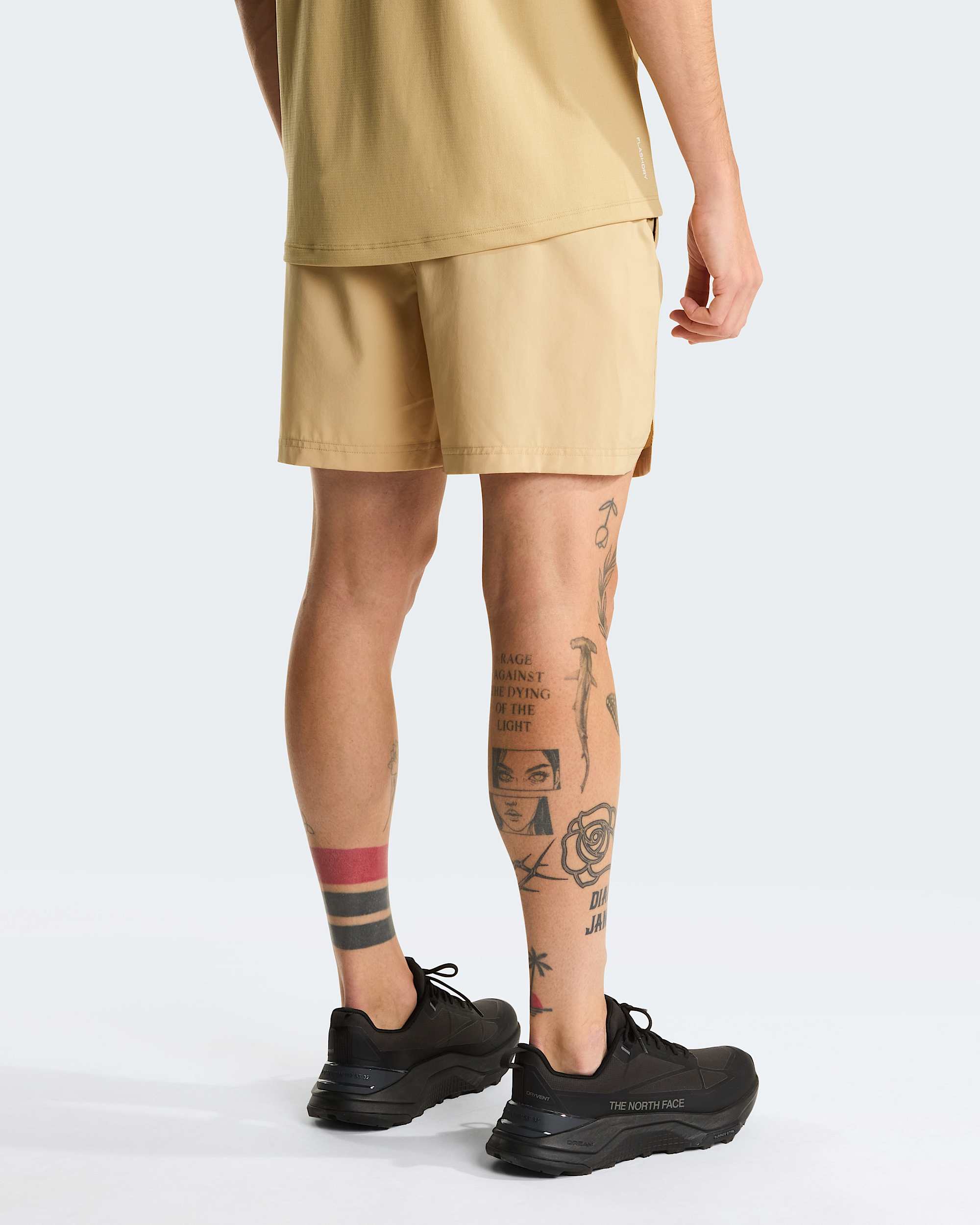247 5 Shorts fr Herren TNF alt7