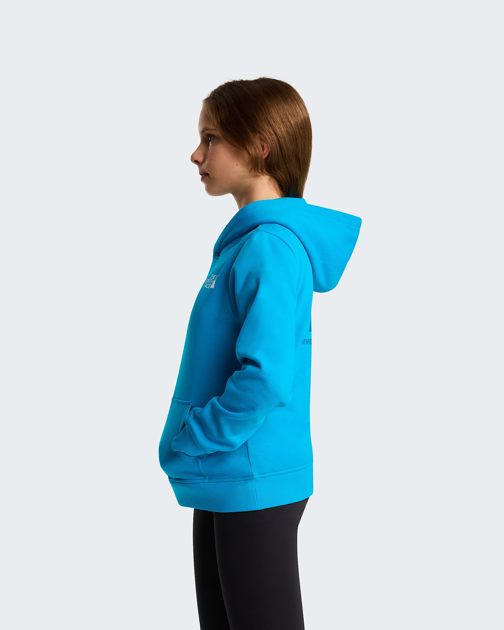 NSE Boxhoodie voor tieners TNF alt15