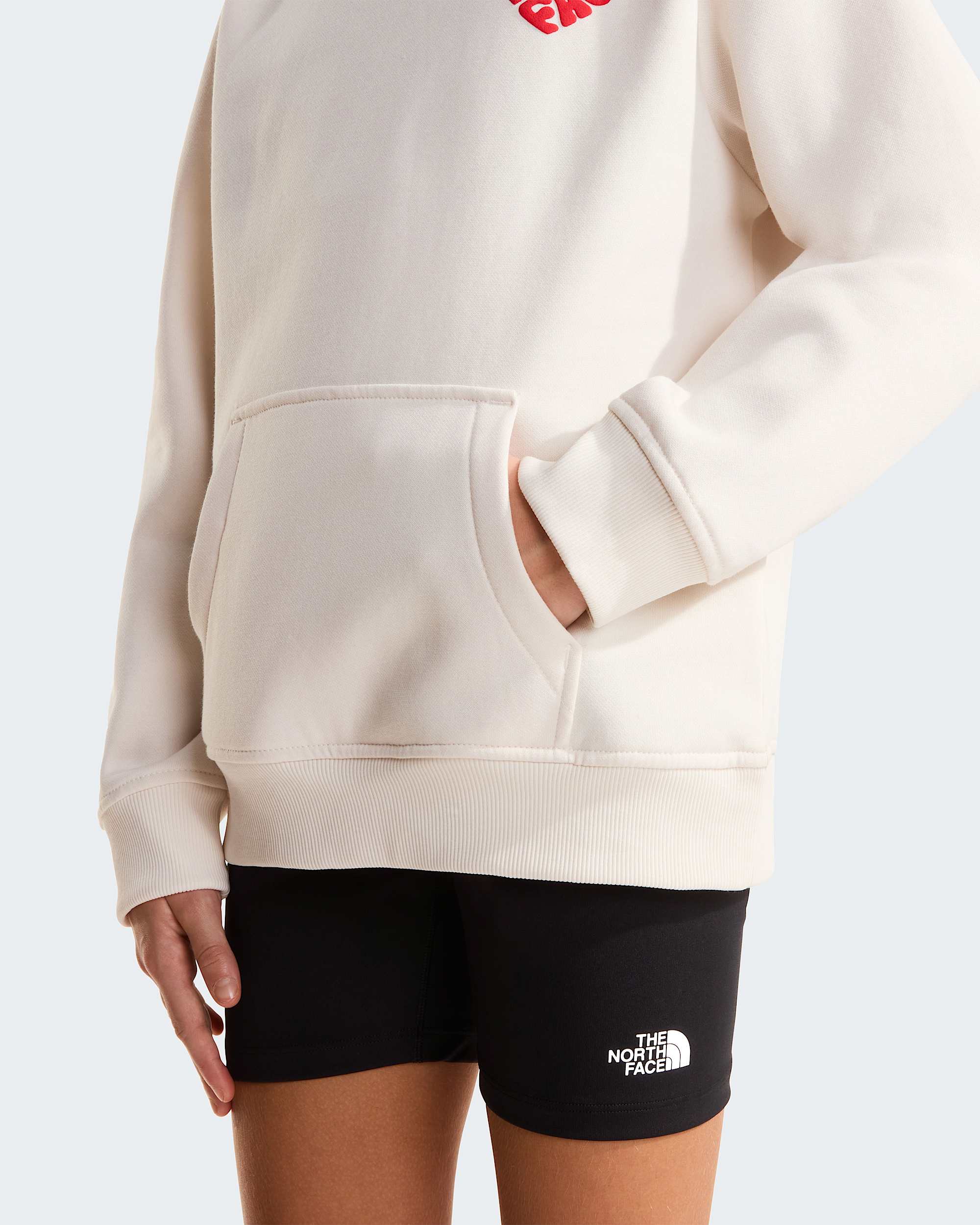 Sweat  capuche dcontract Brand Proud pour fille TNF alt9