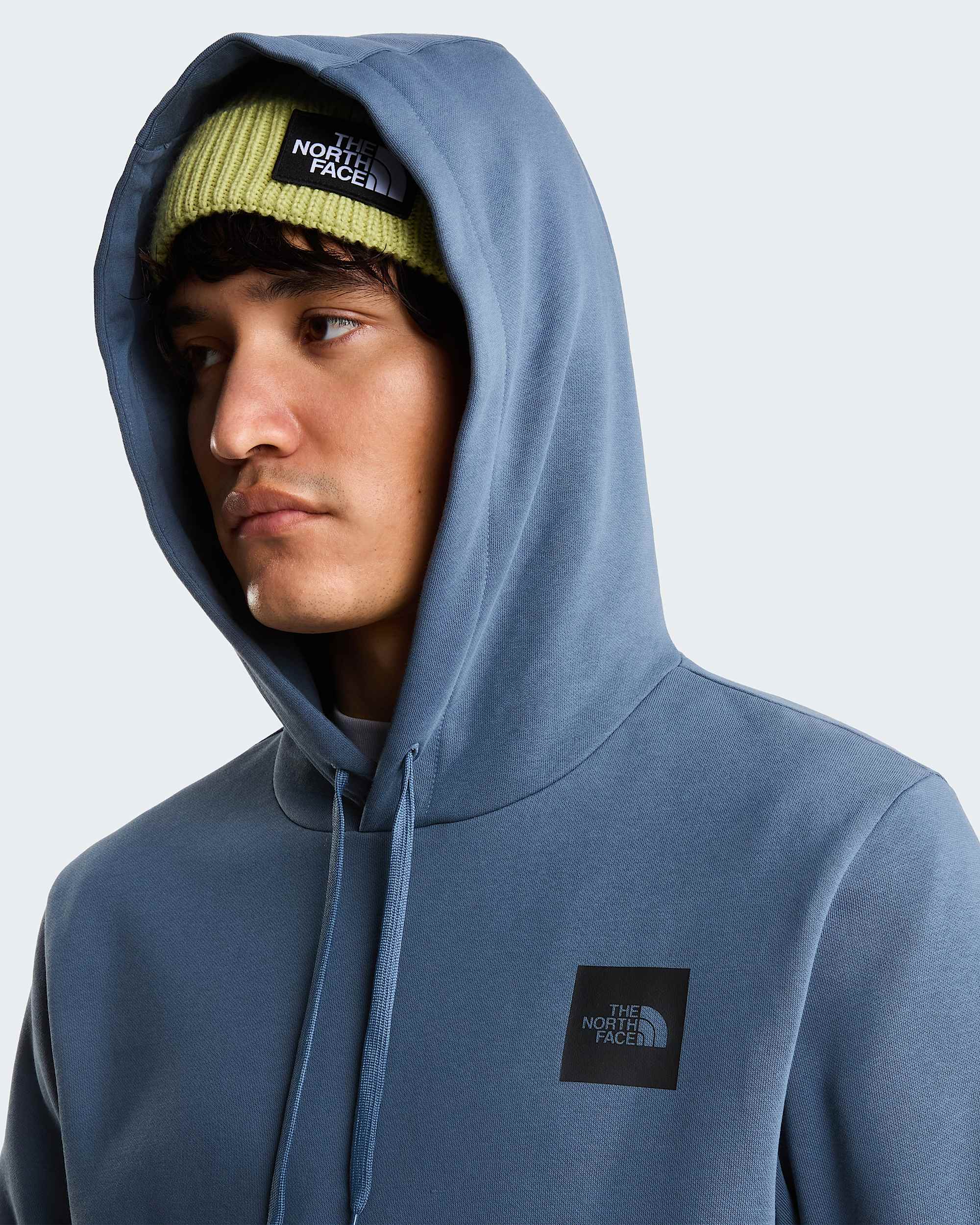 Evolution Box Half Dome Regular hoodie voor heren TNF alt8